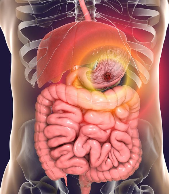 Gastroenterology Services
