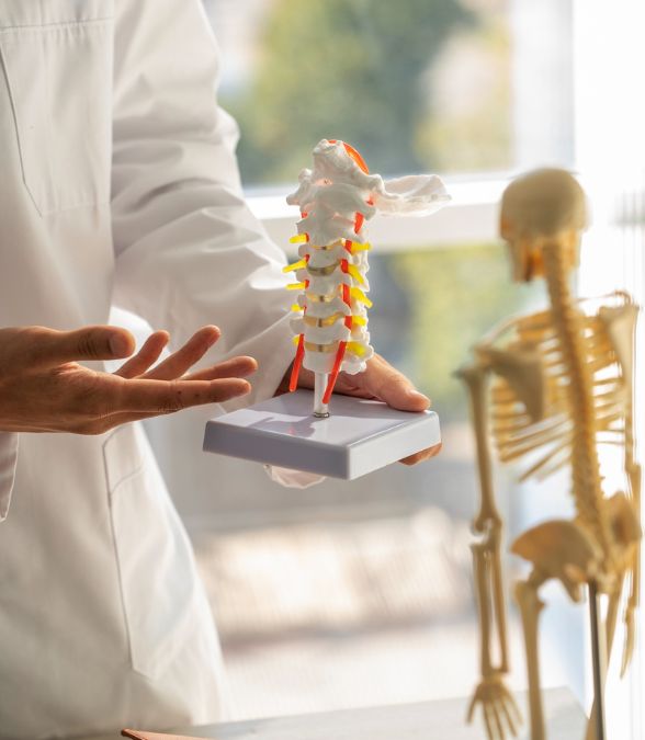 Orthopedics Services