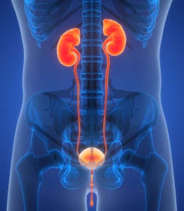 Urology